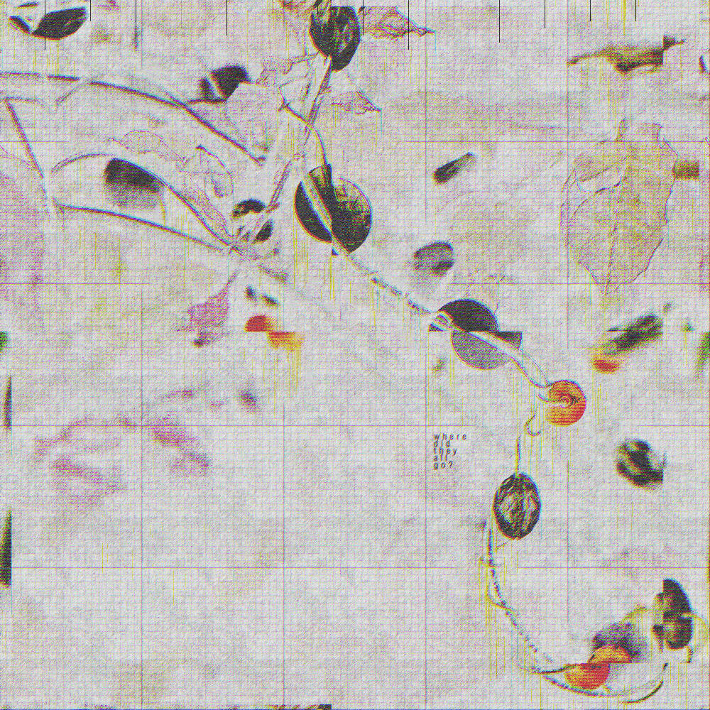 where did they all go